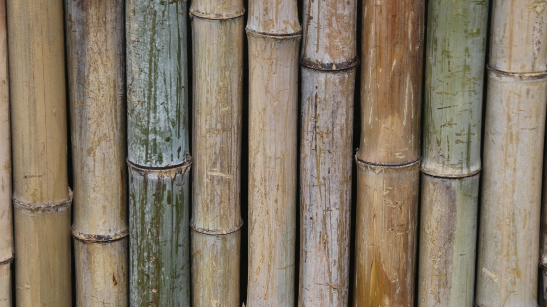 Bamboo is beneficial
