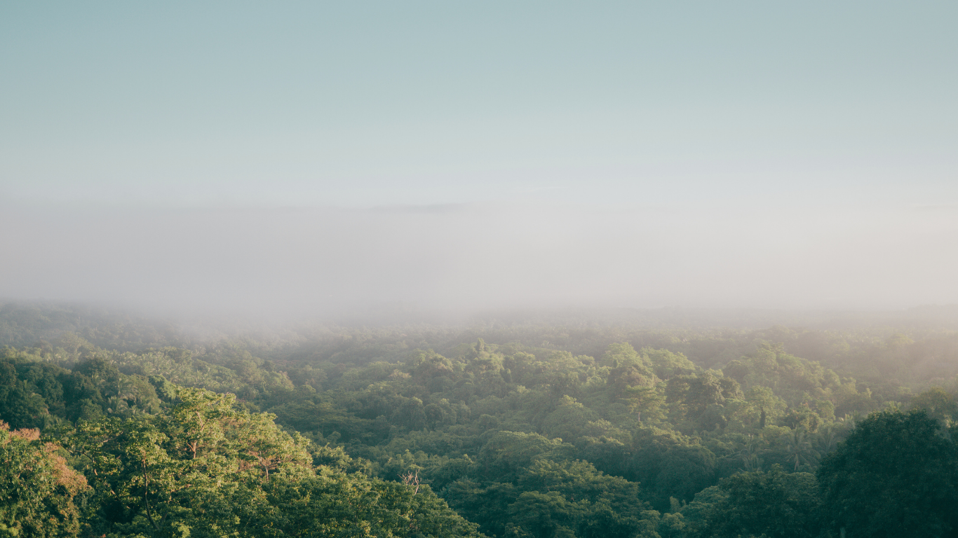 Sustainable marketing and procurement